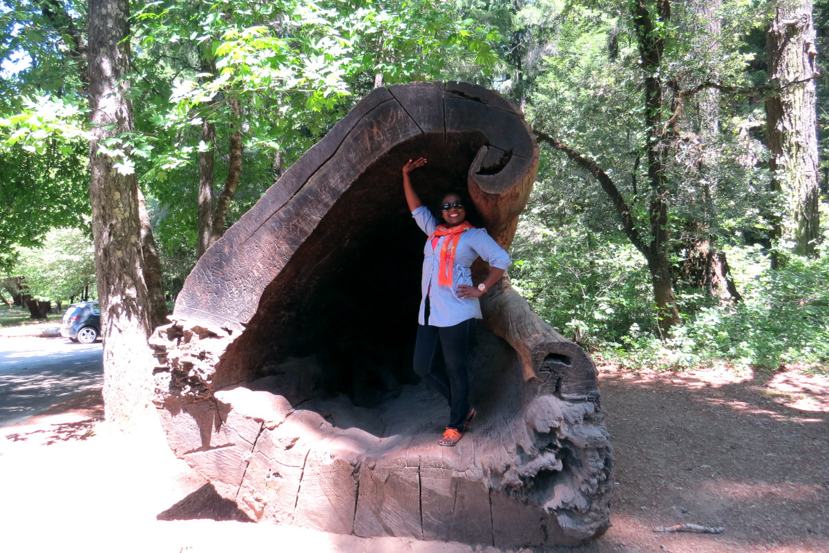 Janet Johnson in Cave Log